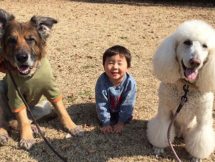 犬で人が育つ　人社会で受け入れられることの大切さ