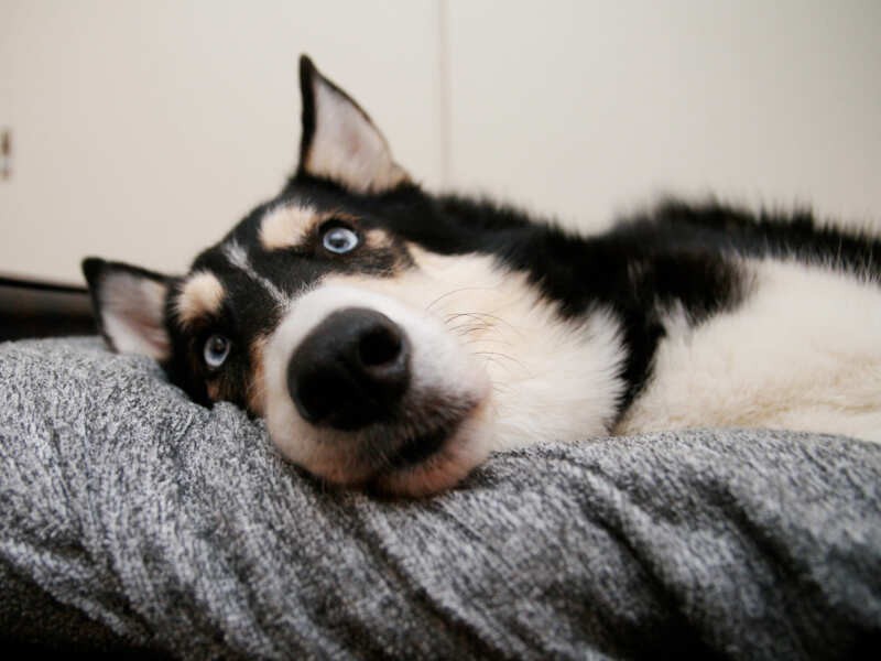 ぼんやりテレビを眺めている人