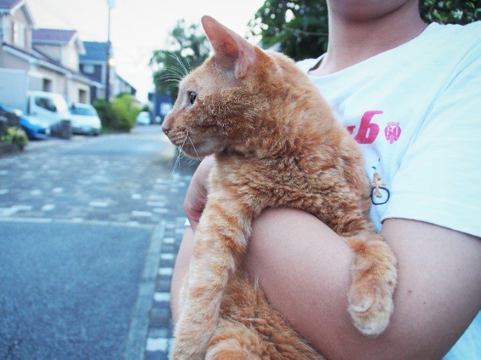 家の前で、夕涼み。