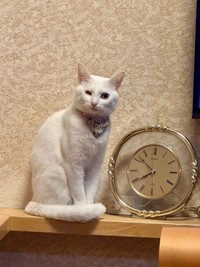 立派に成長した現在の虹来ちゃん