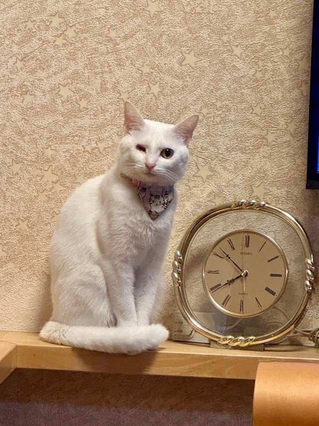 立派に成長した現在の虹来ちゃん