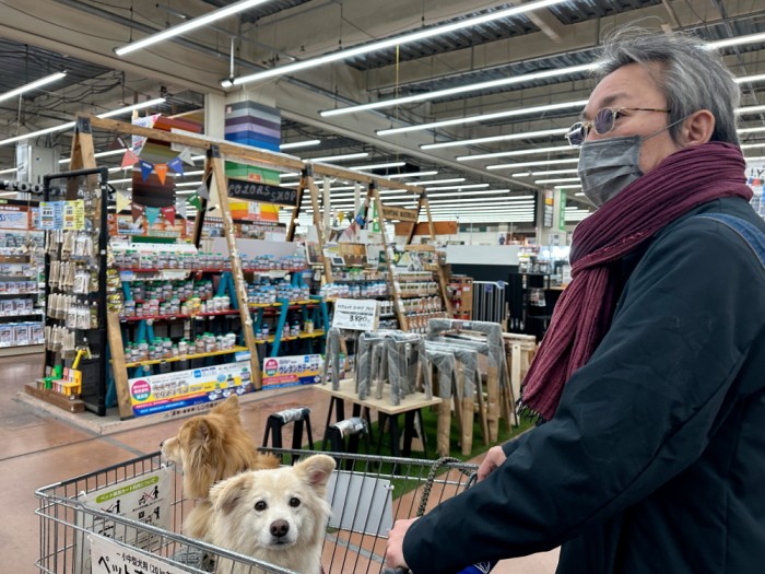 「お出かけだと思ったのにホームセンターだった」の顔