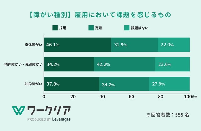 【障がい種別】雇用における課題（提供画像）