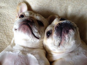 福岡の仲良し姉妹 きく&かぼす　「我々に帽子は必要なのか…」