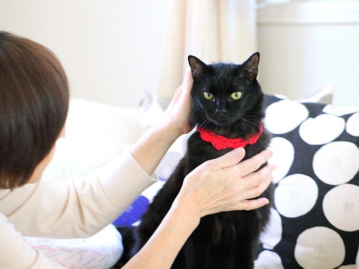 途中、山﨑さんが説得する場面も。