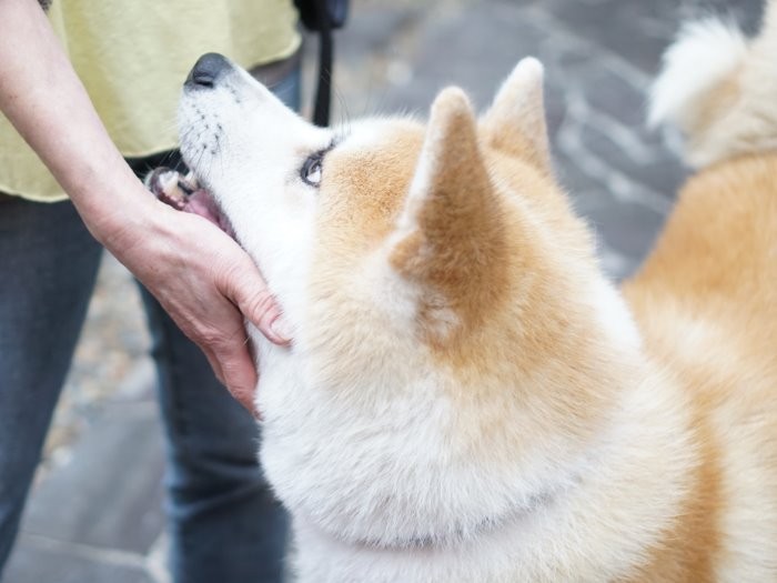 アイコンタクトもばっちり