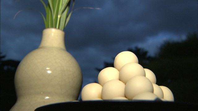 資料　観月会