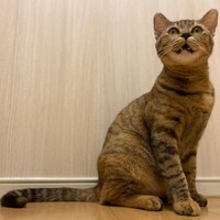 モデルのオファー来ないかな