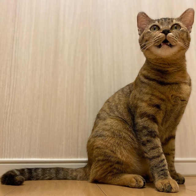 モデルのオファー来ないかな