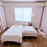 「猫は使ってくれるか？」 ベッドの買い替え、検証スタート（画像提供：emy@保護猫とレオパと平屋一人暮らし）