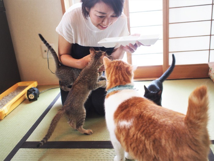 「おやつよ～」に、子猫と共にちゃたおも参上