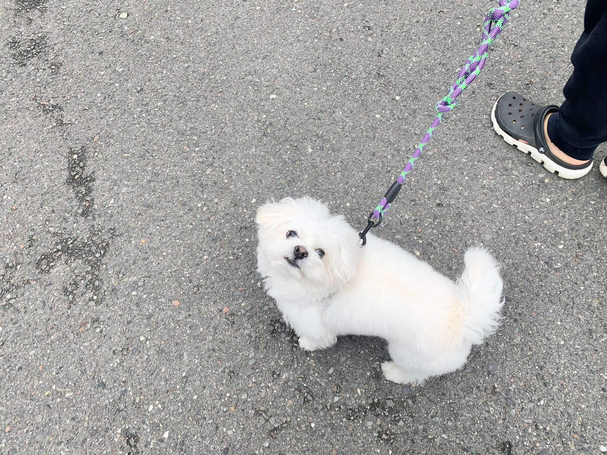 1. 私のテスト結果は何を意味しますか?