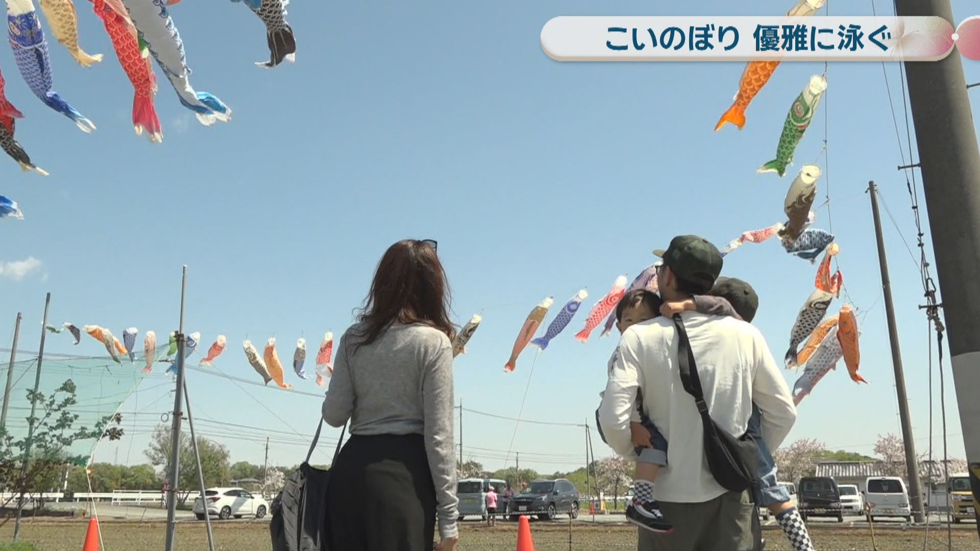 観光農園に約100匹のこいのぼり 色とりどり、大空を優雅に 岡山・総社