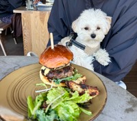 自分の食べ物じゃないとわかった瞬間に少し不服そうなぽてとくん（提供：マルプーのぽてとさん）