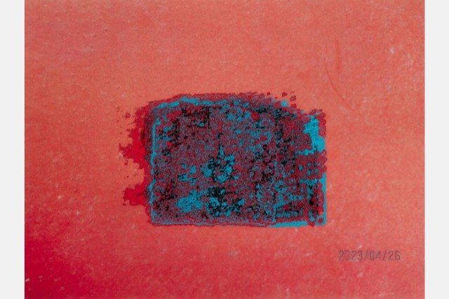 ヘラルボニー・アート・プライズ2024で審査員特別賞の黒澤浩美賞を受賞したisousinさんの「落書き写真（タイル状の壁）」＝HERALBONY Art Prize PR事務局提供