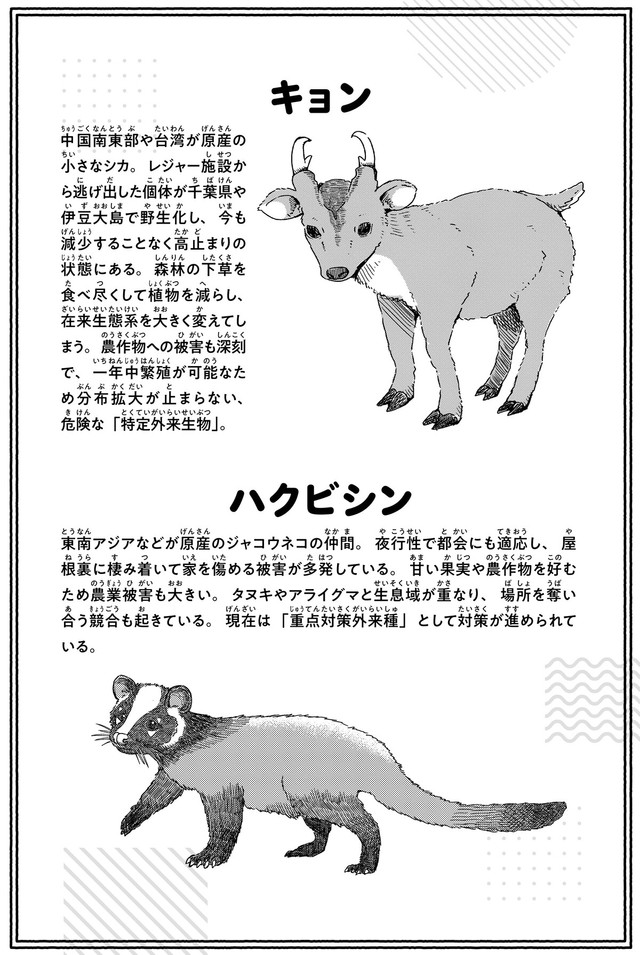 【漫画】『狩猟体験行ってみたレポ』14(c) Aoba / KADOKAWA