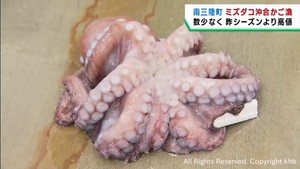 ミズダコ初水揚げ　全国的に有名な宮城・南三陸町