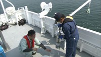 瀬戸内海の環境を守れ　香川県沖で恒例の水質調査