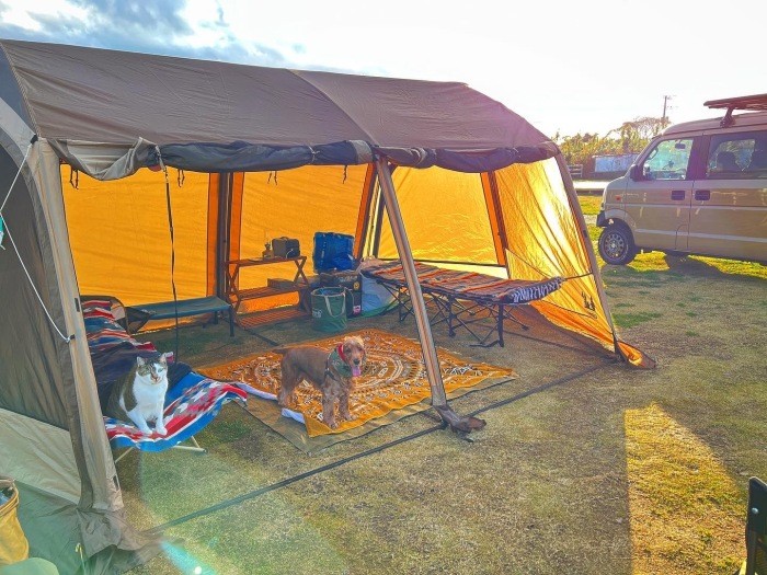 キャンプをするコーダとフィーユ