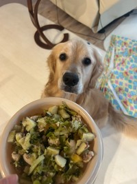 ブロッコリーは無事、茹でて食べることができました