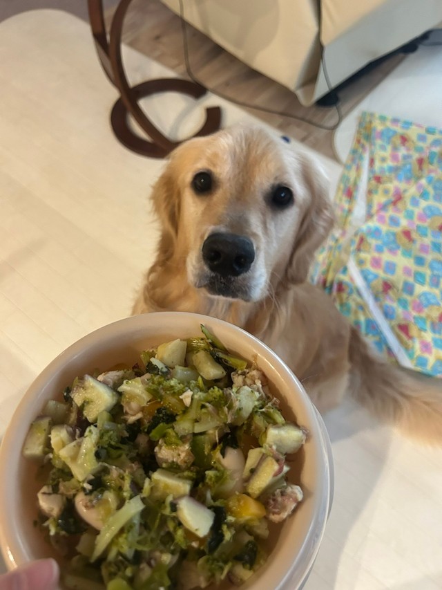 ブロッコリーは無事、茹でて食べることができました