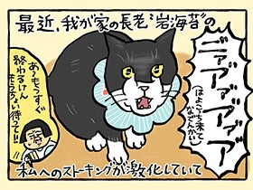 愛が重っ！ 暑っ！ でも幸せ　やっぱ、猫じゃけぇ(55)