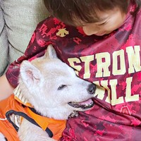 18歳の誕生日、大好きなお兄ちゃんに抱かれて笑みを浮かべる柴犬・チャコちゃん（画像提供：ちゃーくん）