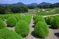 提供：国営讃岐まんのう公園