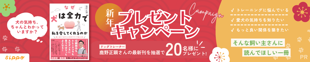 新年プレゼントキャンペーン