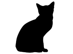 野良猫にかまれた女性が死亡　マダニ媒介の感染症か