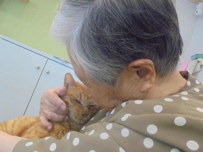 「いいこ、いいこ」しまくん大人気（入間東幸楽園提供）