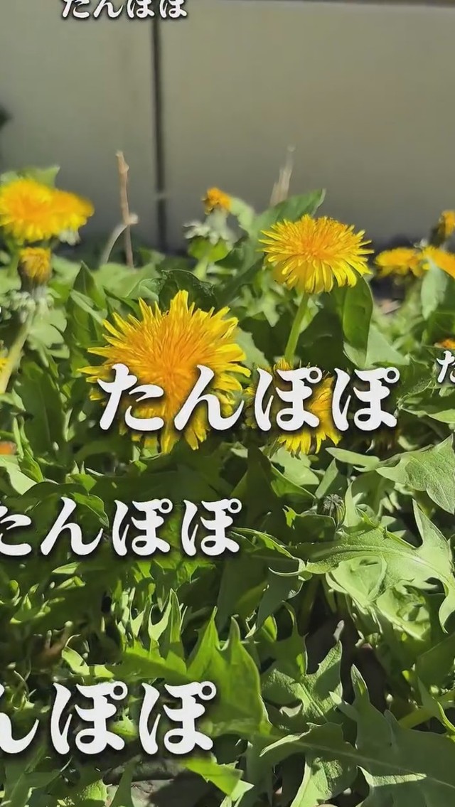 2年間放置していたそう／こばさん提供