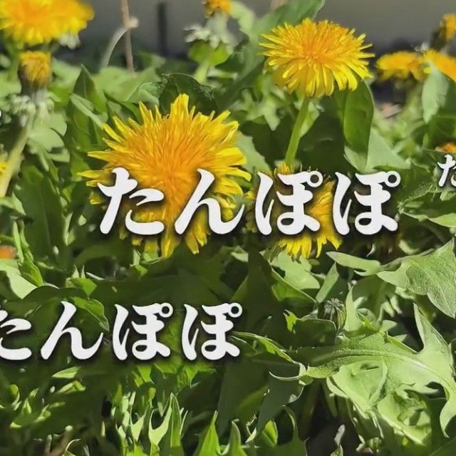 2年間放置していたそう／こばさん提供