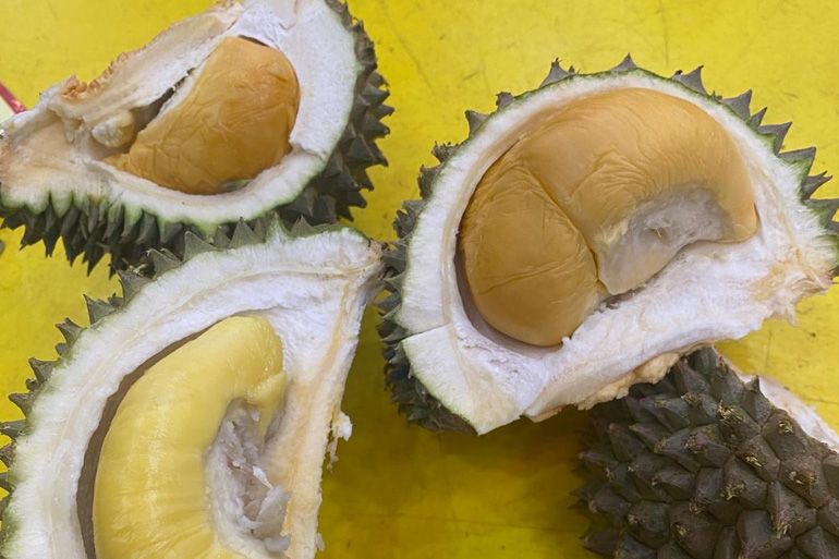 謎多き「フルーツの王様」 世界を魅了するマレーシアのドリアン農園を