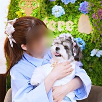 大好きな飼い主さんに抱っこされて笑みを浮かべるつくしちゃん（画像提供：パグチワマル つくしちゃん）