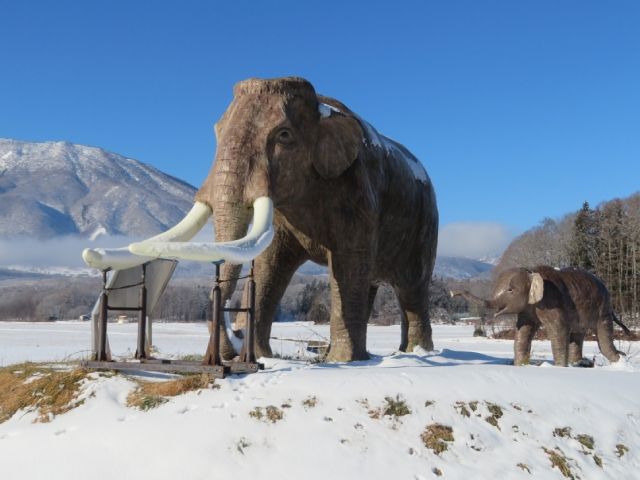 妙高戸隠連山国立公園10周年 一目五山の景観、山岳信仰、ゾウ化石