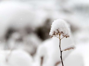 「女性が好きな女性」の私。「友達」になれたはず、罪悪感に抱かれる夜