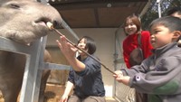 バクがバクバク！池田動物園で「マシマシ」えさやり体験　岡山市