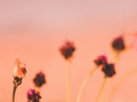 初めてのバー、メイドカフェ。連絡が途絶えても出会いは心に刻まれている