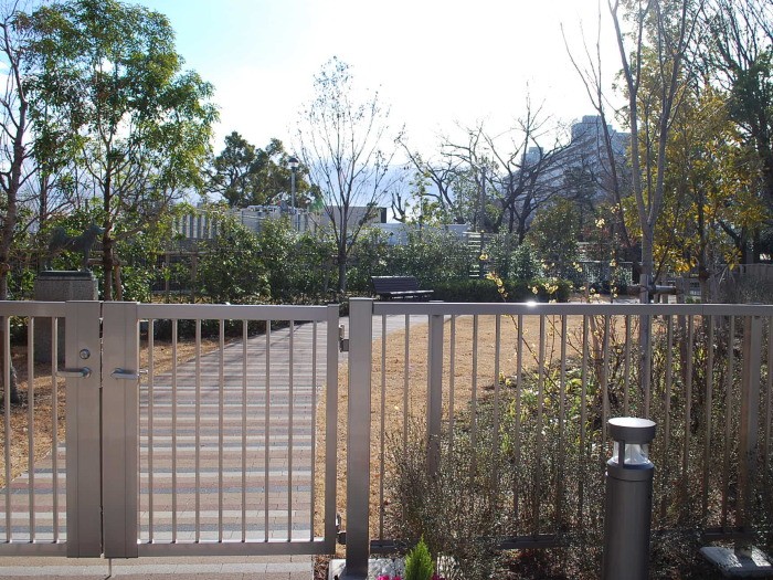 施設には市民が憩えるオープンスペースもあります。保護されている犬がお散歩をしていました