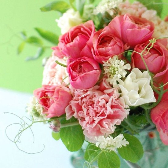 春のお花はぐんぐん伸びて育つそう。なずなちゃんも、花と同じく、ぐんぐん伸びて成長中（NATURAL FLOWERSのインスタより）