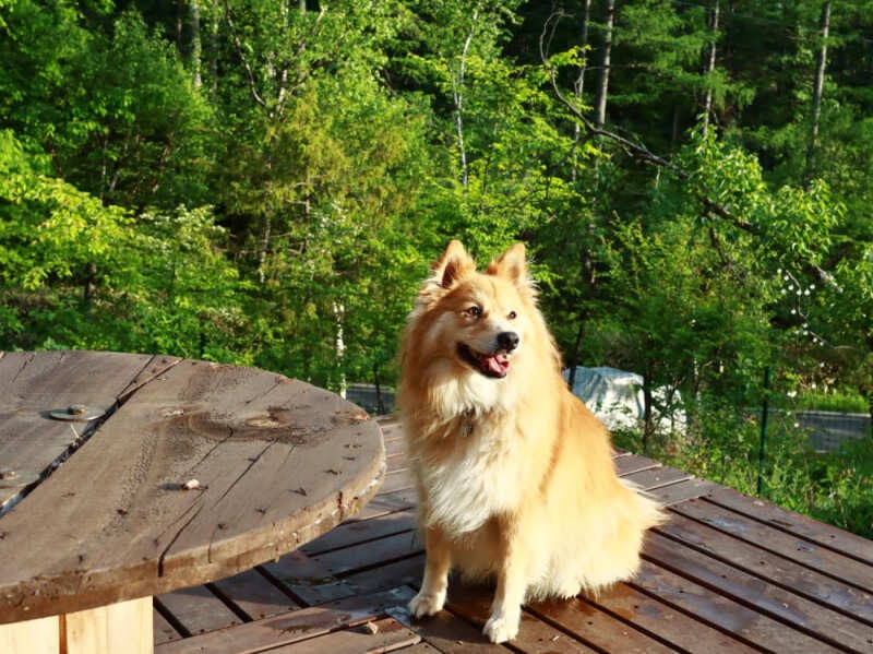 出してスッキリした人