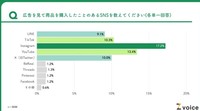 広告を見て商品を購入したＳＮＳ
