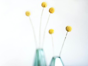 「髪、クルクルとまっすぐどっちが好き？」彼の答えを知って私は毎日巻いた