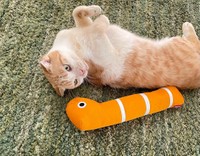 おもちゃでも遊んでくれた