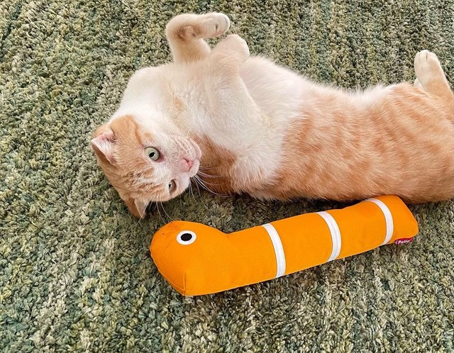 おもちゃでも遊んでくれた