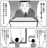 飼われた水槽で大きさが変わる金魚を出世の例えに（まるいがんもさん提供）