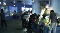 新屋島水族館　日プラ主体で改修・運営へ…高松市主体のリニューアルから一転