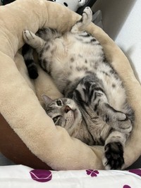 ごろん（画像提供：レイさん)