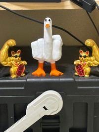 夢のコラボレーション（提供：ズッキさん）